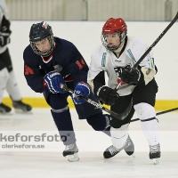 2013-02-17, Ishockey,  Halmstad Hammers - Grästorps IK: 6 - 5