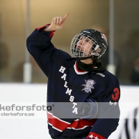 2013-02-17, Ishockey,  Halmstad Hammers - Grästorps IK: 6 - 5