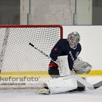 2013-02-17, Ishockey,  Halmstad Hammers - Grästorps IK: 6 - 5