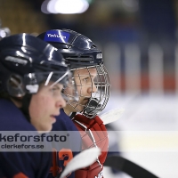 2013-02-23, Ishockey,  Halmstad Hammers - Jonstorps IF: 5 - 3