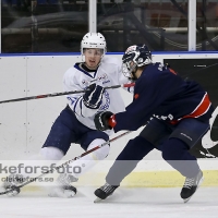 2013-02-23, Ishockey,  Halmstad Hammers - Jonstorps IF: 5 - 3