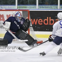 2013-02-23, Ishockey,  Halmstad Hammers - Jonstorps IF: 5 - 3