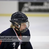 2013-08-24, Ishockey,  Halmstad Hammers - Jonstorps IF: