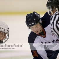 2013-08-31, Ishockey,  Jonstorp IF - Halmstad Hammers: