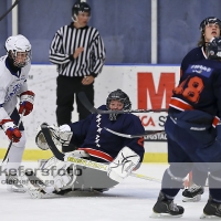 2013-09-01, Ishockey,  Halmstad Hammers - Jonstorps IF: