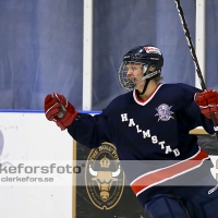 2013-09-01, Ishockey,  Halmstad Hammers - Jonstorps IF: