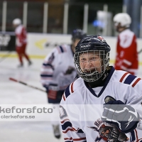 2013-09-29, Ishockey,  Halmstad Hammers -  IF Mölndal Hockey: 7 - 5