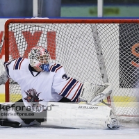 2013-09-29, Ishockey,  Halmstad Hammers -  IF Mölndal Hockey: 7 - 5