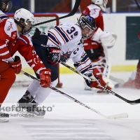 2013-09-29, Ishockey,  Halmstad Hammers -  IF Mölndal Hockey: 7 - 5