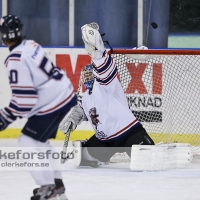 2013-09-29, Ishockey,  Halmstad Hammers -  IF Mölndal Hockey: 7 - 5