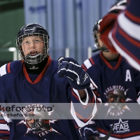 2013-10-13, Ishockey,  Halmstad Hammers - Hanhals IF: 5 - 3