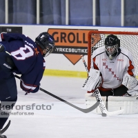 2013-10-13, Ishockey,  Halmstad Hammers - Hanhals IF: 5 - 3