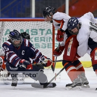 2013-10-13, Ishockey,  Halmstad Hammers - Hanhals IF: 5 - 3