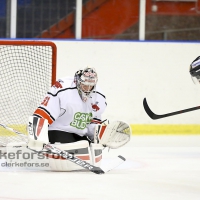 Ishockey Div I Hockeyettan, Halmstad Hammers - Varberg Vipers :